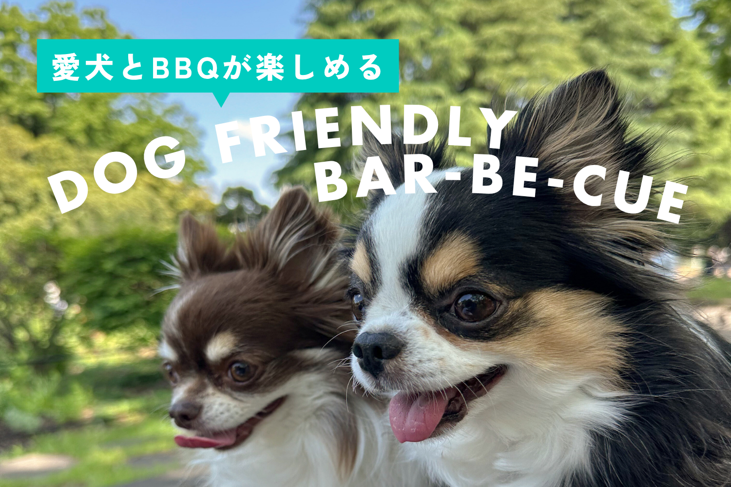 愛犬とBBQ